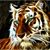 Manivannan Vijay's profile image