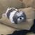 Kim Efteland's profile image