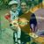 Wellington Fernandes's profile image
