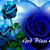 Lynell Salmon's profile image