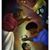 Nail Salley's profile image