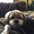 Lynn Konkol Meitz's profile image