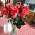 Janeene Stephens's profile image