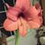 Ann Bailey's profile image