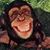 Mike Hobdy's profile image