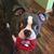 Angie Paulson's profile image