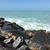 Nancie Buist's profile image
