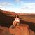 Nancy McNichol's profile image