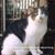 Sandy Matthews's profile image