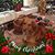 Sue Hume's profile image