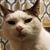 Shawn Stanbarger Steketee's profile image