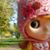 Julie Westphal's profile image