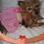 Marielena Davila's profile image