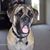 Rob Tilson's profile image