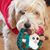 Kathi Ippolito's profile image