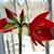 Stephanie Roussel-Dupré Weiss's profile image