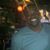 Brenton Guy's profile image