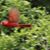 Teresa Davis Whisenant's profile image