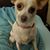 Maria Ford's profile image