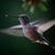 Sherry Barnes's profile image