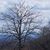 Heather B. Young's profile image
