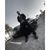 Tajinder Dhillon's profile image