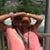 Shawn Kearse's profile image