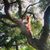 Emmi McMinn's profile image