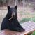 Eric Mende's profile image