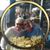 Nancy Acey Schilling's profile image