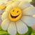 Hally Monckton-Whaley's profile image