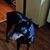 Sonya Mathis's profile image