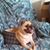 Rick De Simone's profile image