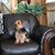 Dan Barb Theis's profile image