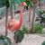 Michele Troutner's profile image
