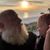 Scott Lycurgus Jenkins's profile image
