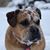 Karen Smilie's profile image