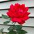 Joan Bessette's profile image