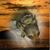 Marianne Anuario's profile image