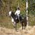 Sue Owen's profile image