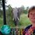 Vicki Harwood Derrick Baxter's profile image