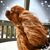 Lisa Thompson's profile image
