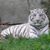 JoAnn Mantych's profile image