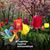 Deb Courtright's profile image