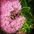 Lauren Lou Baker Taranto's profile image