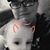 Shanny Fogs's profile image