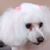 Gail B. Lowes's profile image