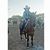 Andrea Castorena Reyes's profile image