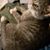 Nancy Leigh Wilson's profile image