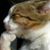 Les Pepin's profile image